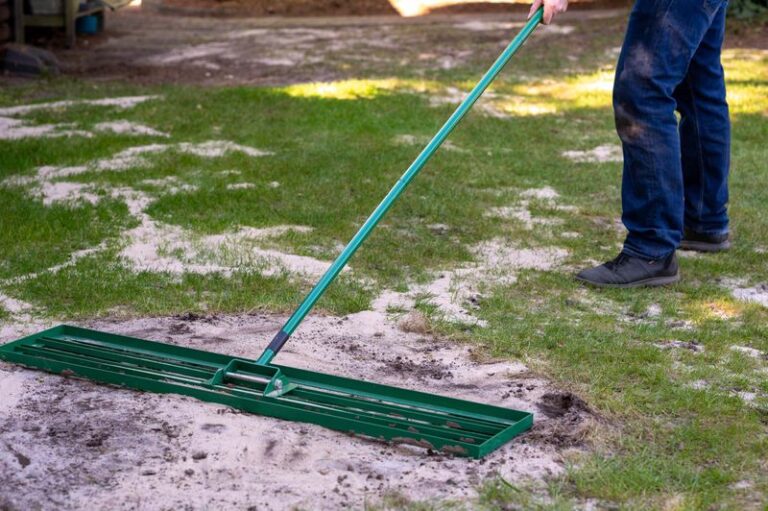 Shallow Dips in Your Lawn Can Be Leveled Gradually With Thin Topdressing When Grass Is Growing