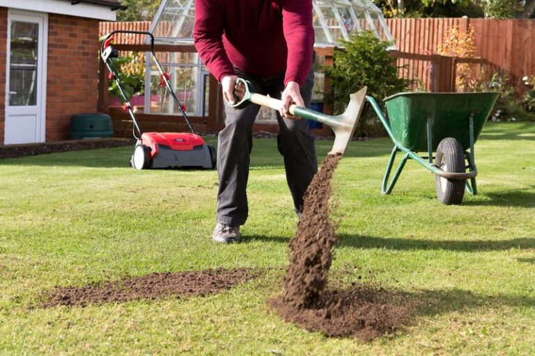 If Your Lawn Is Full Of Bare Patches This Fall, Here Are 13 Fixes That Work Without Renting A Thing