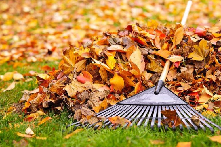 Can an NC HOA Make You Rake? It Depends on Your Governing Documents and the Facts