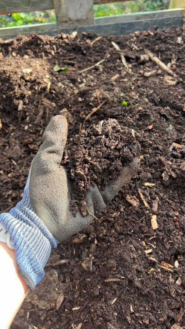 The One Choice Between Compost And Bagged Soil That Wakes Up Your North Carolina Clay Beds By Spring