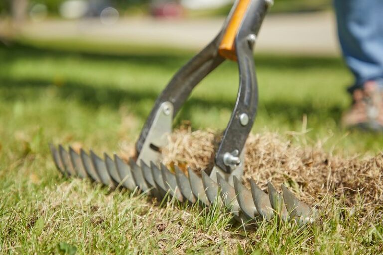 If You Want Your Lawn Green Next Spring, Don’t Skip These 14 Fall Lawn Tasks (And 6 Things That Happen If You Do)