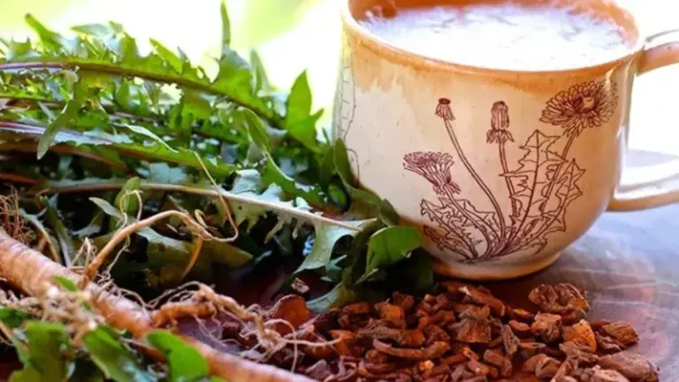 Dandelion Root Has a Documented Culinary Use: Roasting It for a Coffee-Like Drink