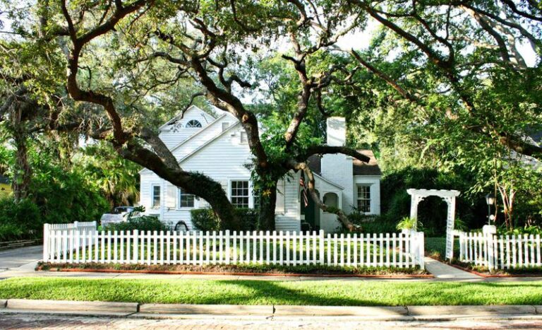 13 Ordinary Backyard Trees That Are Quiet Treasures Most Homeowners Never Notice