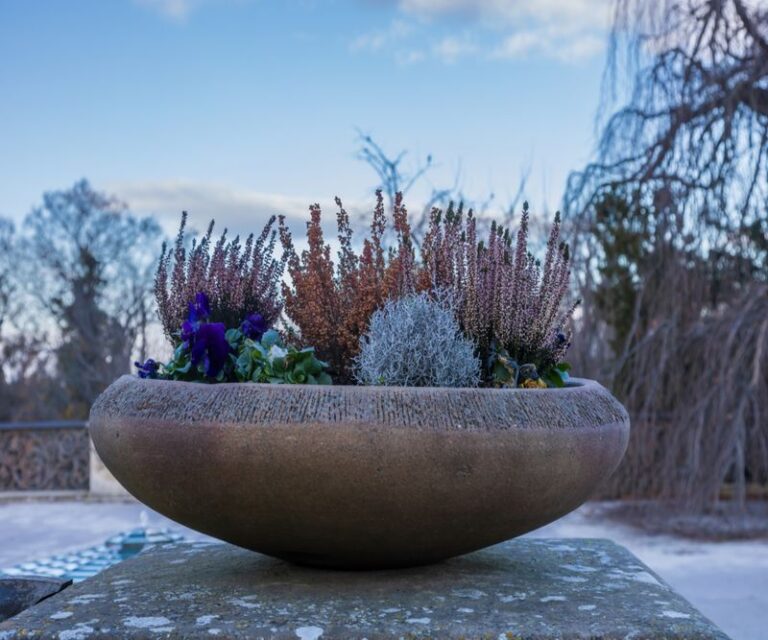 Skip The Plastic Wrap On Your Potted Perennials – 13 Simple Ways To Get Containers Through Winter Without Cracked Pots Or Dead Roots