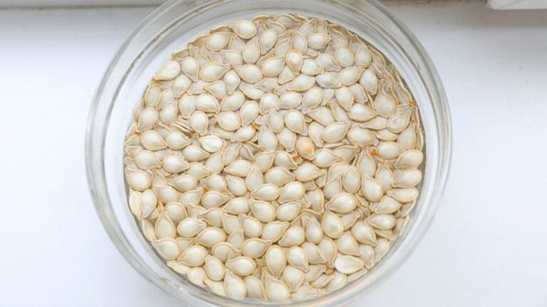 Soak These 13 Seeds Overnight Before Planting And Watch Them Sprout Days Sooner (And 5 You Never Should)